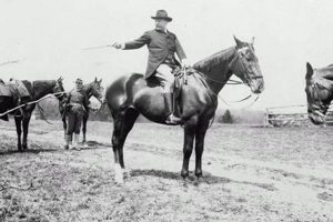 Teddy Roosevelt's Horses: Names & History Teddy Information – Everything You Need to Know About Teddy Bears Teddy Roosevelt's Horses: Names & History | Teddy Information – Everything You Need to Know About Teddy Bears