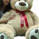 Giant Custom Teddy Bears: Design Your Own | Teddy Information – Everything You Need to Know About Teddy Bears