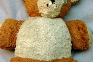 Collectible Rare Teddy Bears: A Guide Teddy Information – Everything You Need to Know About Teddy Bears Collectible Rare Teddy Bears: A Guide | Teddy Information – Everything You Need to Know About Teddy Bears