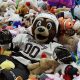 The Ultimate Guide to Teddy Toss Events | Teddy Information – Everything You Need to Know About Teddy Bears