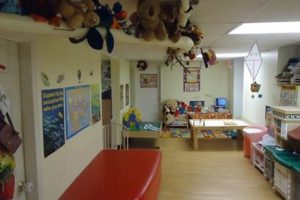 Best Teddy Bear Day Care Near Me: Find Local Care Teddy Information – Everything You Need to Know About Teddy Bears Best Teddy Bear Day Care Near Me: Find Local Care | Teddy Information – Everything You Need to Know About Teddy Bears