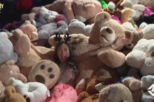 Soft & Cuddly Teddy Ball Toys for Kids Teddy Information – Everything You Need to Know About Teddy Bears Soft & Cuddly Teddy Ball Toys for Kids | Teddy Information – Everything You Need to Know About Teddy Bears