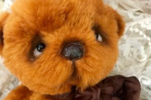 Cuddly Handmade Teddy Bears for Sale Teddy Information – Everything You Need to Know About Teddy Bears Cuddly Handmade Teddy Bears for Sale | Teddy Information – Everything You Need to Know About Teddy Bears