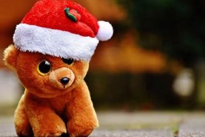 Celebrate National Teddy Bears Holiday! Teddy Information – Everything You Need to Know About Teddy Bears Celebrate National Teddy Bears Holiday! | Teddy Information – Everything You Need to Know About Teddy Bears
