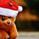 Celebrate National Teddy Bears Holiday! | Teddy Information – Everything You Need to Know About Teddy Bears