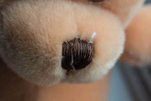 Best Noses for Teddy Bears: A Complete Guide Teddy Information – Everything You Need to Know About Teddy Bears Best Noses for Teddy Bears: A Complete Guide | Teddy Information – Everything You Need to Know About Teddy Bears