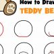 Easy Simple Teddy Bear Drawing Guide | Teddy Information – Everything You Need to Know About Teddy Bears
