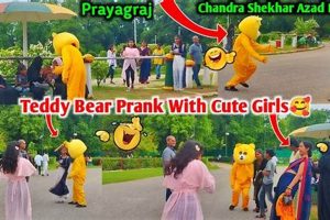 Funny Prank Teddy Bears: Best Plush Pranks Teddy Information – Everything You Need to Know About Teddy Bears Funny Prank Teddy Bears: Best Plush Pranks | Teddy Information – Everything You Need to Know About Teddy Bears