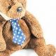 Cuddly Teddy Bear Skins in Wickford, RI | Teddy Information – Everything You Need to Know About Teddy Bears