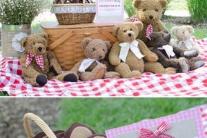 Cute Teddy Bear Picnic Ideas & Inspiration Teddy Information – Everything You Need to Know About Teddy Bears Cute Teddy Bear Picnic Ideas & Inspiration | Teddy Information – Everything You Need to Know About Teddy Bears
