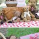Cute Teddy Bear Picnic Ideas & Inspiration | Teddy Information – Everything You Need to Know About Teddy Bears
