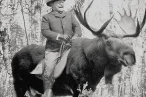 The Legend of Teddy Roosevelt on a Moose: True or Tall Tale? Teddy Information – Everything You Need to Know About Teddy Bears The Legend of Teddy Roosevelt on a Moose: True or Tall Tale? | Teddy Information – Everything You Need to Know About Teddy Bears