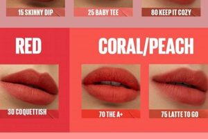 Maybelline Teddy Tint Review: A Plush Lip Test Teddy Information – Everything You Need to Know About Teddy Bears Maybelline Teddy Tint Review: A Plush Lip Test | Teddy Information – Everything You Need to Know About Teddy Bears