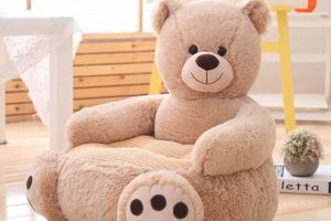 Teddy Bear Couch Teddy Information – Everything You Need to Know About Teddy Bears Teddy Bear Couch | Teddy Information – Everything You Need to Know About Teddy Bears