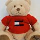 Cute Tommy Hilfiger Teddy Bear Sweaters for Winter | Teddy Information – Everything You Need to Know About Teddy Bears