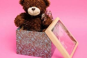 Cuddly Teddy Bears in Gift Boxes: Perfect Gifts Teddy Information – Everything You Need to Know About Teddy Bears Cuddly Teddy Bears in Gift Boxes: Perfect Gifts | Teddy Information – Everything You Need to Know About Teddy Bears