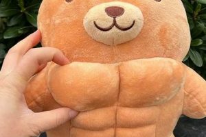 Super Strong Muscular Teddy Bears for Kids Teddy Information – Everything You Need to Know About Teddy Bears Super Strong Muscular Teddy Bears for Kids | Teddy Information – Everything You Need to Know About Teddy Bears