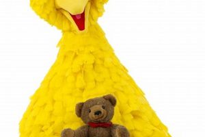 Big Bird's Teddy Bear: Comfort & Childhood Friend Teddy Information – Everything You Need to Know About Teddy Bears Big Bird's Teddy Bear: Comfort & Childhood Friend | Teddy Information – Everything You Need to Know About Teddy Bears