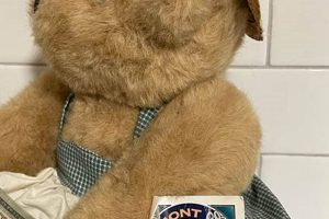 Shop Vermont Teddy Bear Catalog: Find Your Perfect Plush Friend Teddy Information – Everything You Need to Know About Teddy Bears Shop Vermont Teddy Bear Catalog: Find Your Perfect Plush Friend | Teddy Information – Everything You Need to Know About Teddy Bears