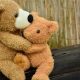 Teddy Bear Cuddle | Teddy Information – Everything You Need to Know About Teddy Bears