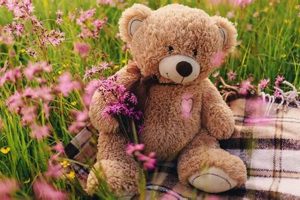 Cute Teddy Bear Backgrounds & Images Teddy Information – Everything You Need to Know About Teddy Bears Cute Teddy Bear Backgrounds & Images | Teddy Information – Everything You Need to Know About Teddy Bears