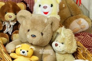 Basket With Teddy Bear Teddy Information – Everything You Need to Know About Teddy Bears Basket With Teddy Bear | Teddy Information – Everything You Need to Know About Teddy Bears