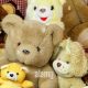 Basket With Teddy Bear | Teddy Information – Everything You Need to Know About Teddy Bears