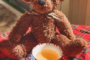 My Special Tea with Teddy Time Teddy Information – Everything You Need to Know About Teddy Bears My Special Tea with Teddy Time | Teddy Information – Everything You Need to Know About Teddy Bears