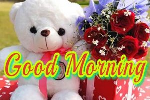 My Teddy Good Morning Routine & Ideas Teddy Information – Everything You Need to Know About Teddy Bears My Teddy Good Morning Routine & Ideas | Teddy Information – Everything You Need to Know About Teddy Bears