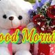 My Teddy Good Morning Routine &amp; Ideas | Teddy Information – Everything You Need to Know About Teddy Bears