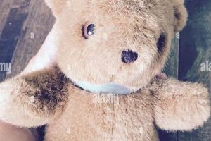Premium Teddy Holdings & Plush Toys Teddy Information – Everything You Need to Know About Teddy Bears Premium Teddy Holdings & Plush Toys | Teddy Information – Everything You Need to Know About Teddy Bears