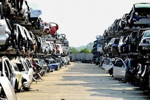 Abandoned Teddy Bears Junkyard Holiday in FL Teddy Information – Everything You Need to Know About Teddy Bears Abandoned Teddy Bears Junkyard Holiday in FL | Teddy Information – Everything You Need to Know About Teddy Bears