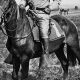 Teddy Roosevelt's Horses: A Legacy in the Saddle | Teddy Information – Everything You Need to Know About Teddy Bears