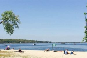 Discover Teddy Roosevelt Beach: A Visitor's Guide Teddy Information – Everything You Need to Know About Teddy Bears Discover Teddy Roosevelt Beach: A Visitor's Guide | Teddy Information – Everything You Need to Know About Teddy Bears