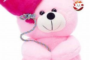 Unconditional Love with Teddy: A Timeless Bond Teddy Information – Everything You Need to Know About Teddy Bears Unconditional Love with Teddy: A Timeless Bond | Teddy Information – Everything You Need to Know About Teddy Bears