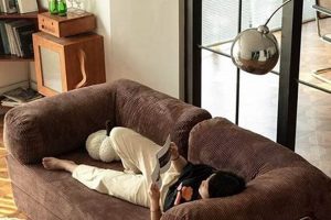 Cozy Teddy Sofa Reviews: Ultimate Buying Guide Teddy Information – Everything You Need to Know About Teddy Bears Cozy Teddy Sofa Reviews: Ultimate Buying Guide | Teddy Information – Everything You Need to Know About Teddy Bears