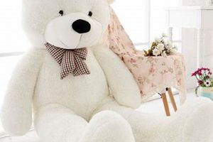Giant Big White Teddy Bears for Sale | Extra Large Teddy Information – Everything You Need to Know About Teddy Bears Giant Big White Teddy Bears for Sale | Extra Large | Teddy Information – Everything You Need to Know About Teddy Bears