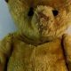 Collectible Antique Mohair Teddy Bears: A Guide | Teddy Information – Everything You Need to Know About Teddy Bears