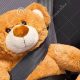 Cuddly Teddy Bear Cars: Soft Toys for Kids | Teddy Information – Everything You Need to Know About Teddy Bears