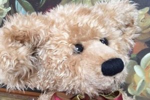 Adorable Ashton Drake Teddy Bears & Friends Teddy Information – Everything You Need to Know About Teddy Bears Adorable Ashton Drake Teddy Bears & Friends | Teddy Information – Everything You Need to Know About Teddy Bears