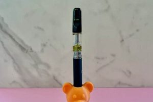 Cute Teddy Bear Vape Pens: Risks & Concerns Teddy Information – Everything You Need to Know About Teddy Bears Cute Teddy Bear Vape Pens: Risks & Concerns | Teddy Information – Everything You Need to Know About Teddy Bears