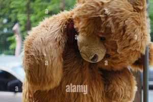 The Sad Story of a Hanged Teddy Bear Teddy Information – Everything You Need to Know About Teddy Bears The Sad Story of a Hanged Teddy Bear | Teddy Information – Everything You Need to Know About Teddy Bears