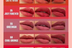 Best Teddy Lip Tint: Top Shades & How to Apply Teddy Information – Everything You Need to Know About Teddy Bears Best Teddy Lip Tint: Top Shades & How to Apply | Teddy Information – Everything You Need to Know About Teddy Bears