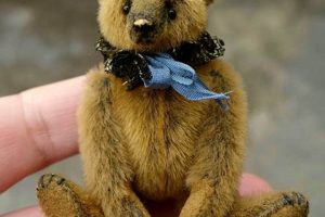Adorable Tiny Teddy Bears for Sale Teddy Information – Everything You Need to Know About Teddy Bears Adorable Tiny Teddy Bears for Sale | Teddy Information – Everything You Need to Know About Teddy Bears