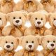 Cuddly Teddy Bear 10-Pack: Soft & Huggable | Teddy Information – Everything You Need to Know About Teddy Bears