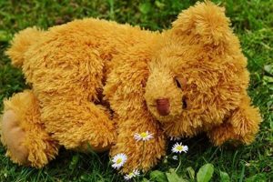 Cute Sleepy Teddy Bears for Sweet Dreams Teddy Information – Everything You Need to Know About Teddy Bears Cute Sleepy Teddy Bears for Sweet Dreams | Teddy Information – Everything You Need to Know About Teddy Bears