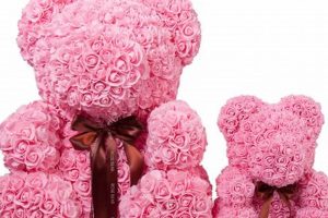 Cuddly Pink Rose Teddy Bears: Shop Now Teddy Information – Everything You Need to Know About Teddy Bears Cuddly Pink Rose Teddy Bears: Shop Now | Teddy Information – Everything You Need to Know About Teddy Bears