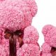 Cuddly Pink Rose Teddy Bears: Shop Now | Teddy Information – Everything You Need to Know About Teddy Bears