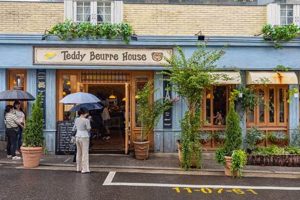Cozy Teddy Beurre House Retreats & Stays Teddy Information – Everything You Need to Know About Teddy Bears Cozy Teddy Beurre House Retreats & Stays | Teddy Information – Everything You Need to Know About Teddy Bears