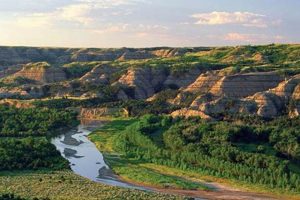TR in North Dakota: How Long Did He Stay? Teddy Information – Everything You Need to Know About Teddy Bears TR in North Dakota: How Long Did He Stay? | Teddy Information – Everything You Need to Know About Teddy Bears